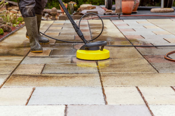 Best Animal Enclosure Cleaning  in Darby, PA